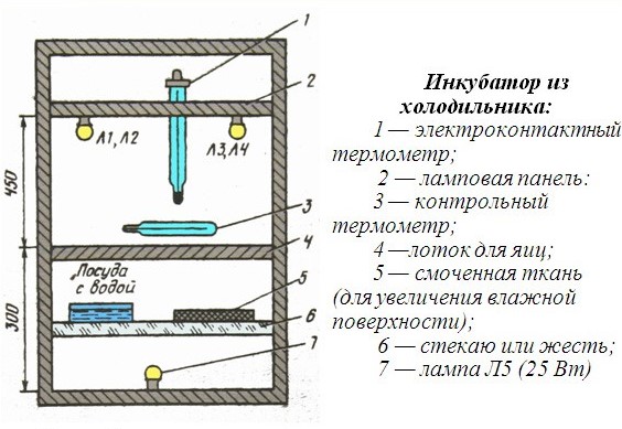 инкубатор из холодильника